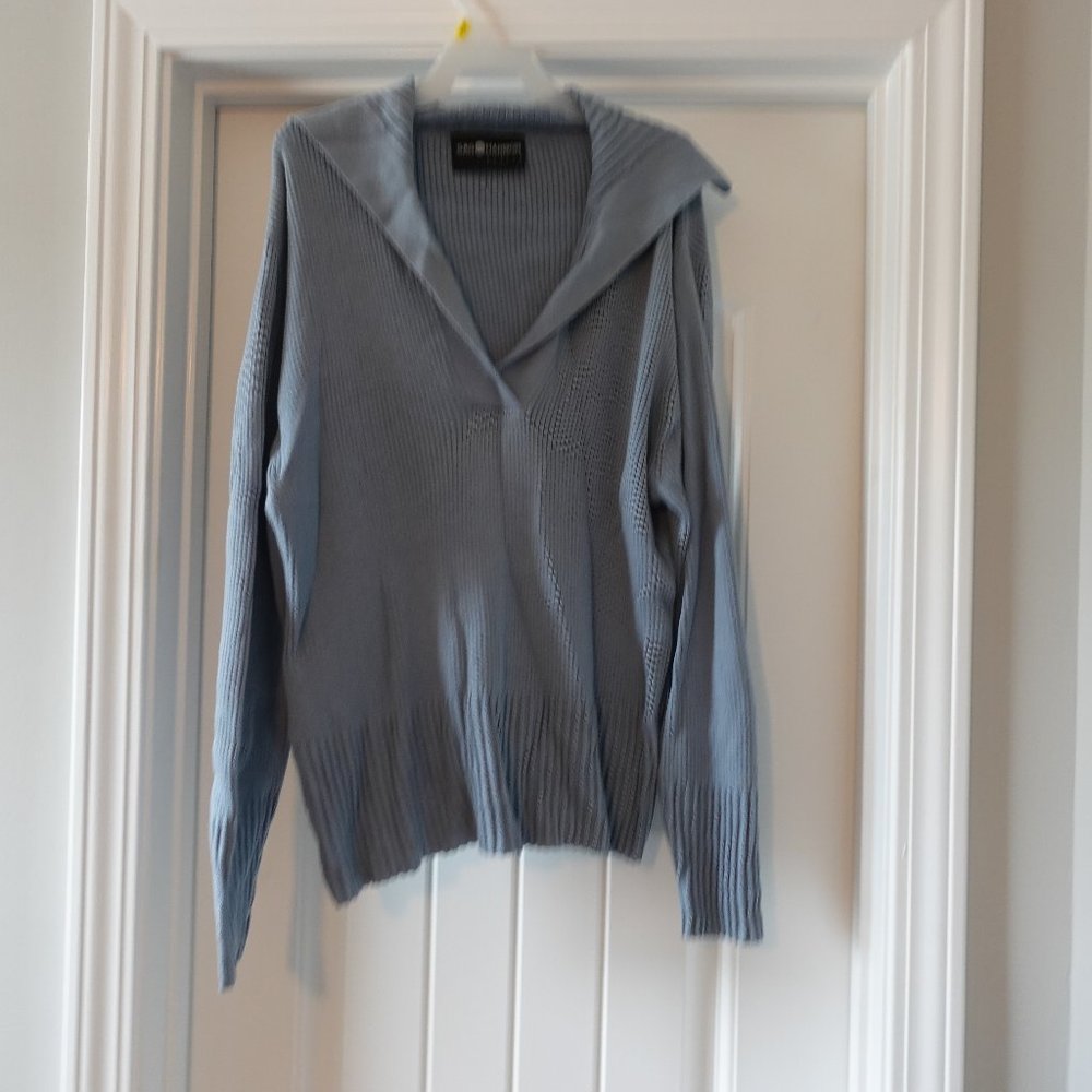 Sag Harbor small light blue longsleeve vneck sweater